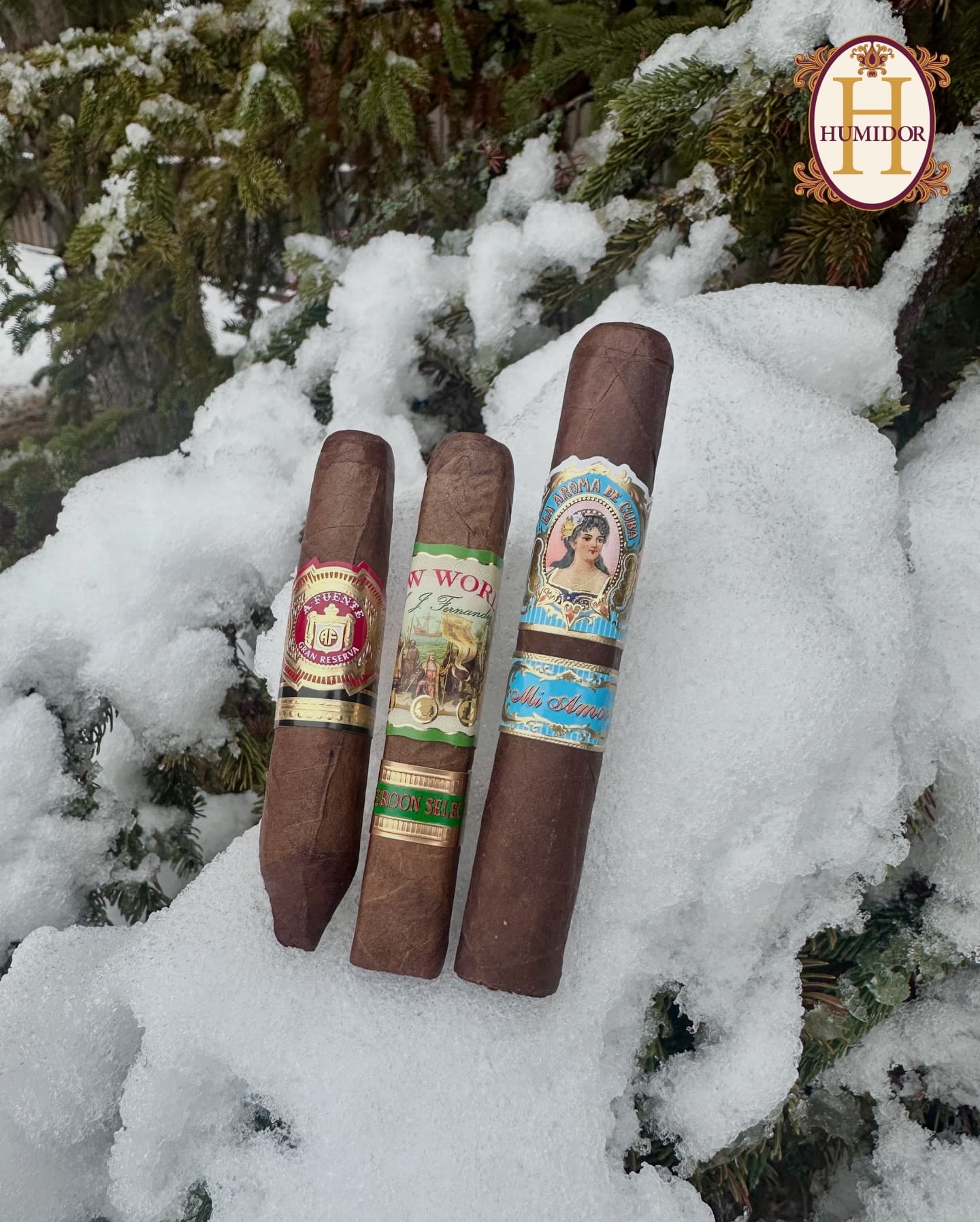 Savinelli Roma Lucite