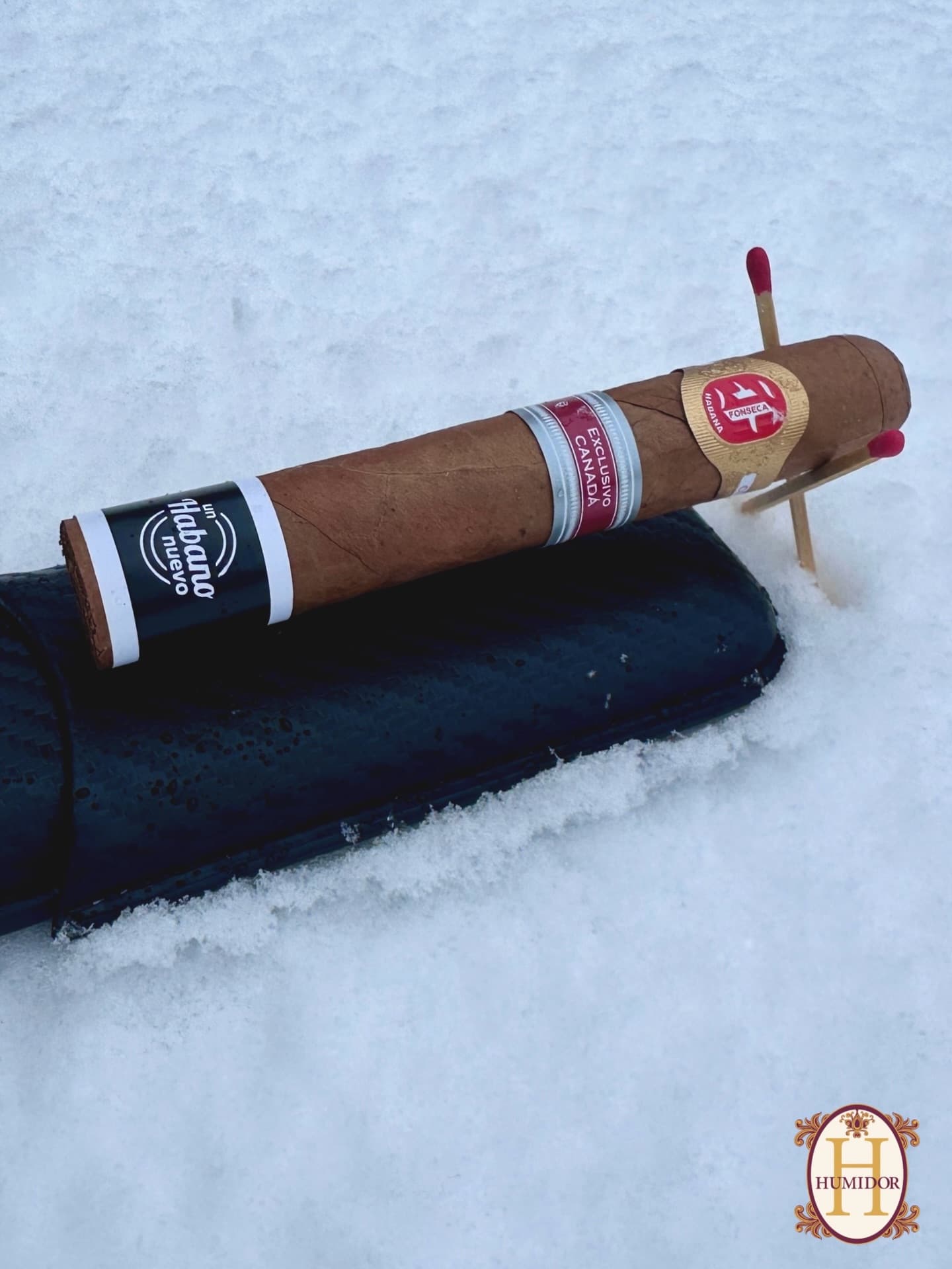 Hoyo de Monterrey Epicure No. 2